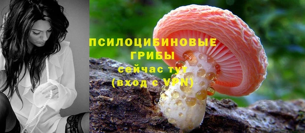 мяу мяу мука Елизово